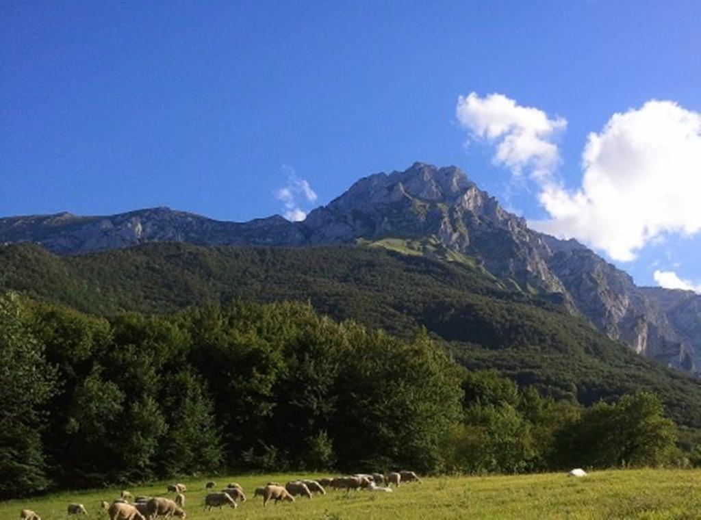 Agriturismo Lu Formaggio Otel Castelli Dış mekan fotoğraf